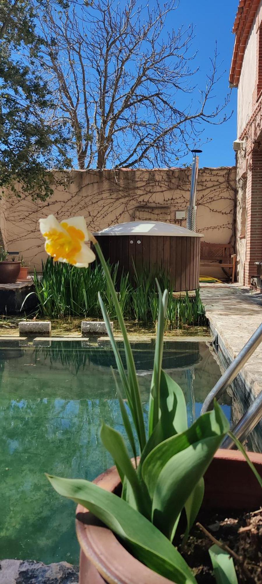 Viento De Ladera Piscina Natural Y Jacuzzi Ext Segovia Exterior photo